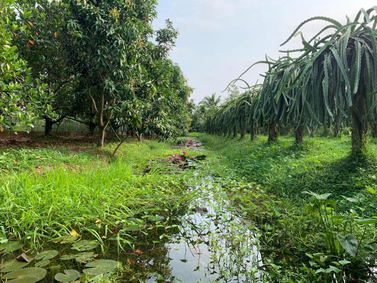Mekong Backpacker Inn Can Tho Dış mekan fotoğraf